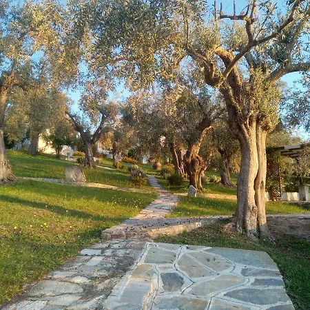 Saint Andrews Bay A Koukouleika