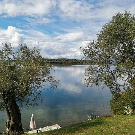 Saint Andrews Bay A Koukouleika